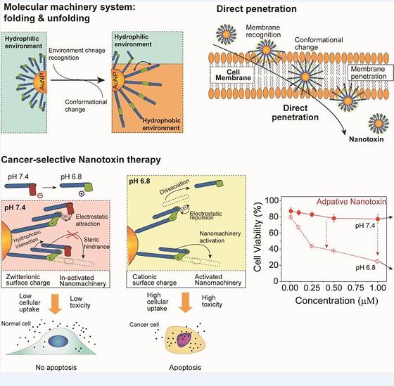 Nanomachines for Direct Penetration of Cancer Cells by Folding and Unfording