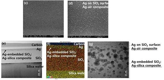 SEM/TEM analysis of the silica layer showing well-defined silver nanoparticles on the surface.