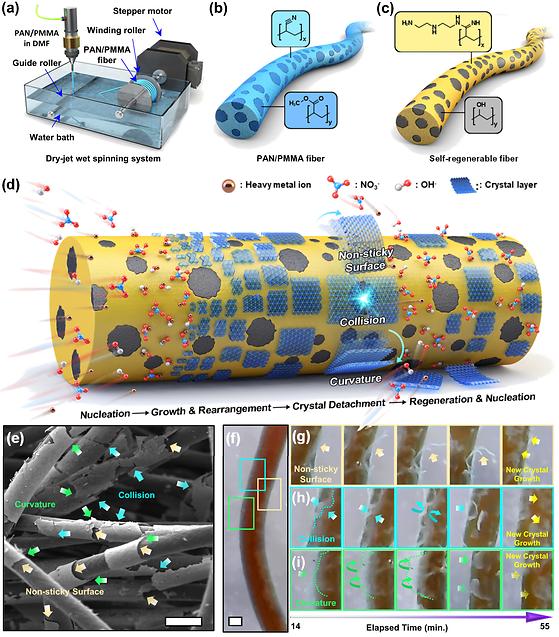 Structure and concept of SRF