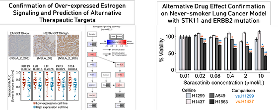 Drug Discovery and Anticancer Effects Demonstration Based On Specific Mutations in Korean Never-Smoking Lung Cancer