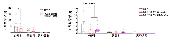 니코틴 금단은 손 떨림 및 몸 떨림과 같은 행동 증상을 유발함. 선조체 콜린성 중간뉴런을 억제시키거나 무스카린성 억제제 프로싸이클리딘을 투여할 경우, 니코틴 금단에 의한 손 떨림 증상을 감소시킴.