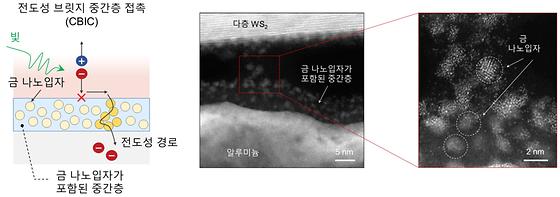 본 연구진이 개발한 새로운 전극(CBIC)은 내부에 금 나노입자를 형성하여 전극의 저항을 효과적으로 낮출 수 있음. 투과전자현미경을 통해 전극 내부에 실제로 금 나노입자가 형성된 것을 확인함.