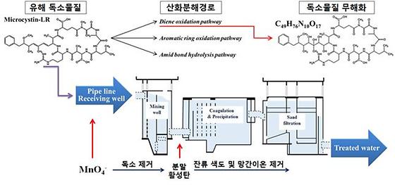 ‘녹조 불안감’을 해소할 수 있는   안전한 수돗물 생산 정수 공정 개발