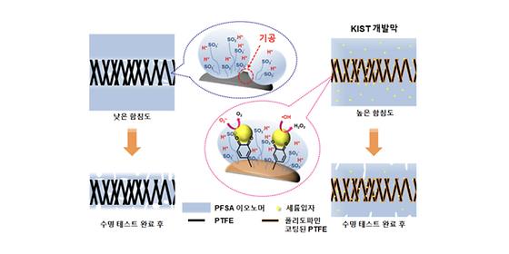 홍합에서 수소연료전지 내구성 높이는 방법 찾았다