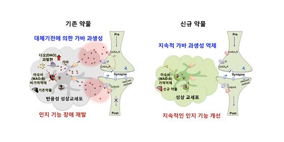 치매치료제, 기존 약물의 한계를 극복할 열쇠를 찾다