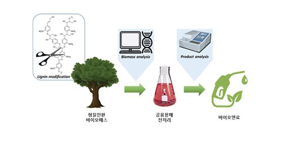 KIST, 북미 연구진과 함께 바이오연료 생산공정 개발