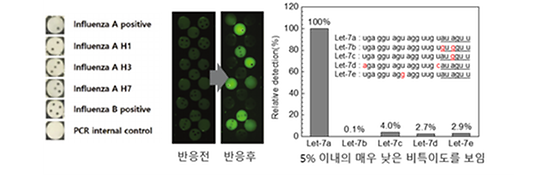 K-진단, 더 빠르고 정확하게 다중 PCR 진단 기술개발