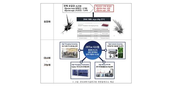 KIST-농촌진흥청 공동연구로 기능성 콩 개발,  결점 없앤 우수한 블랙푸드 나온다